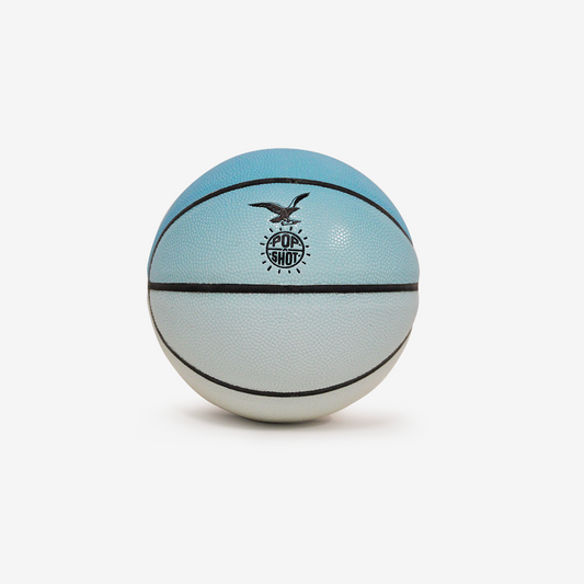 Eagle Landing Mini Basketball